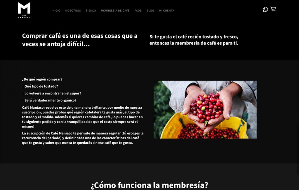 diseño de sitio web tienda virtual monterey